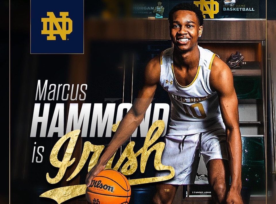 Notre Dame basketball guard Marcus Hammond is bound for a big year in ACC basketball.